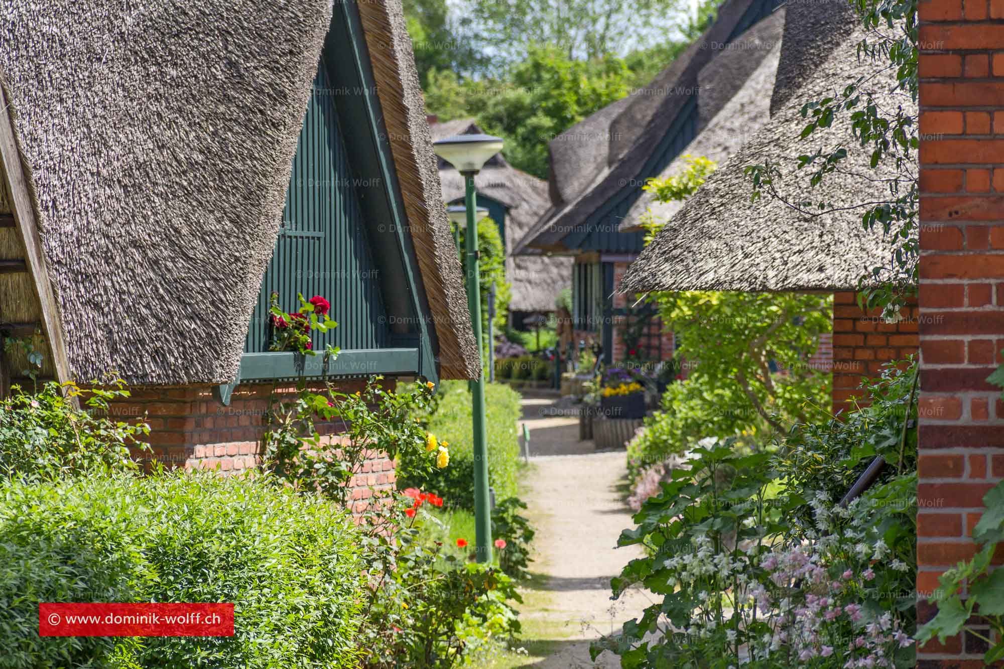 Bild + Foto - Fischerdorf Gothmund