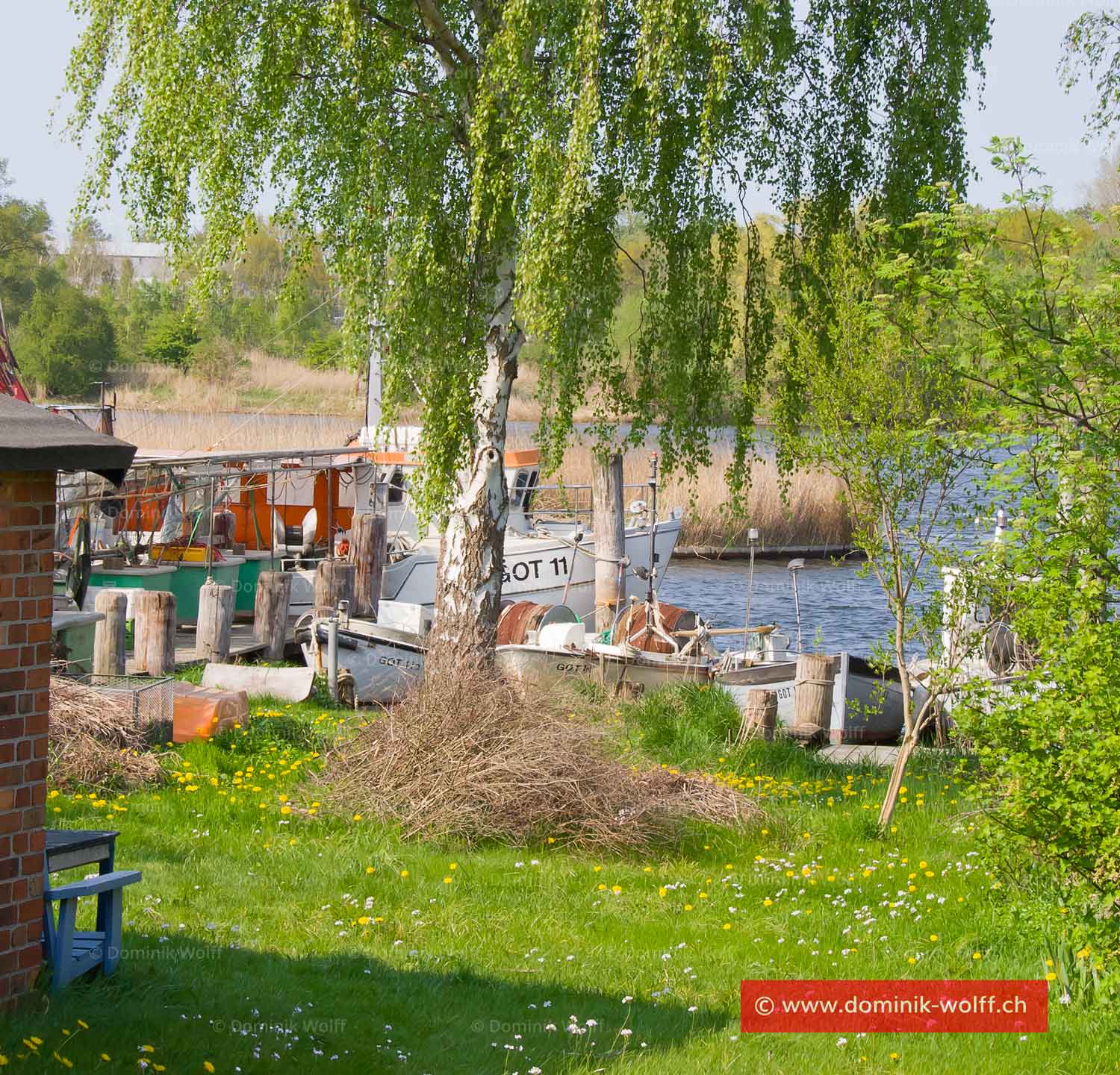Bild + Foto - Fischereibetrieb in Schleswig-Holstein