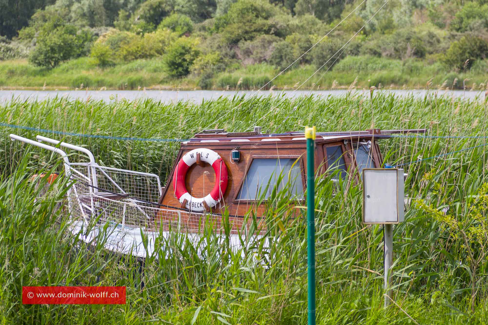 Bild + Foto - Lagune am Fluss Trave in Lübeck