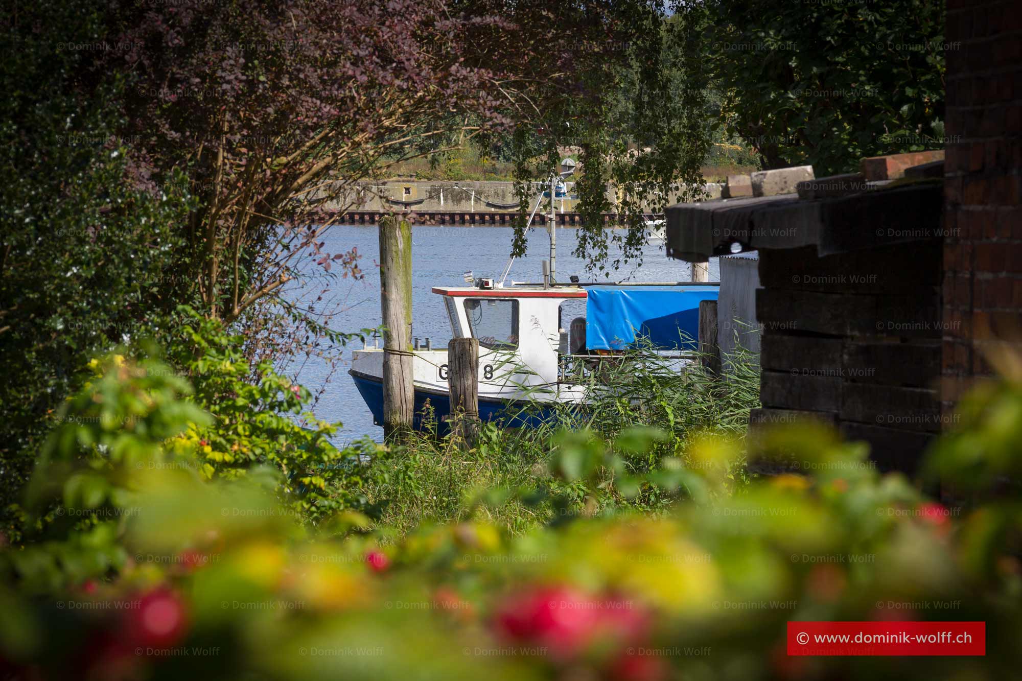 Bild + Foto - Fischkutter in Schleswig-Holstein