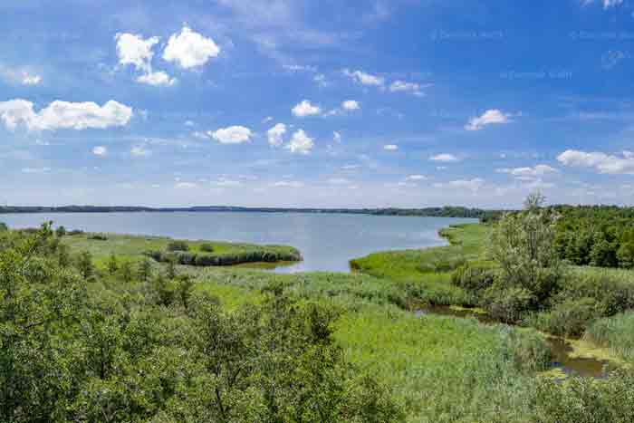 Fluss zum Niendorfer Hafen