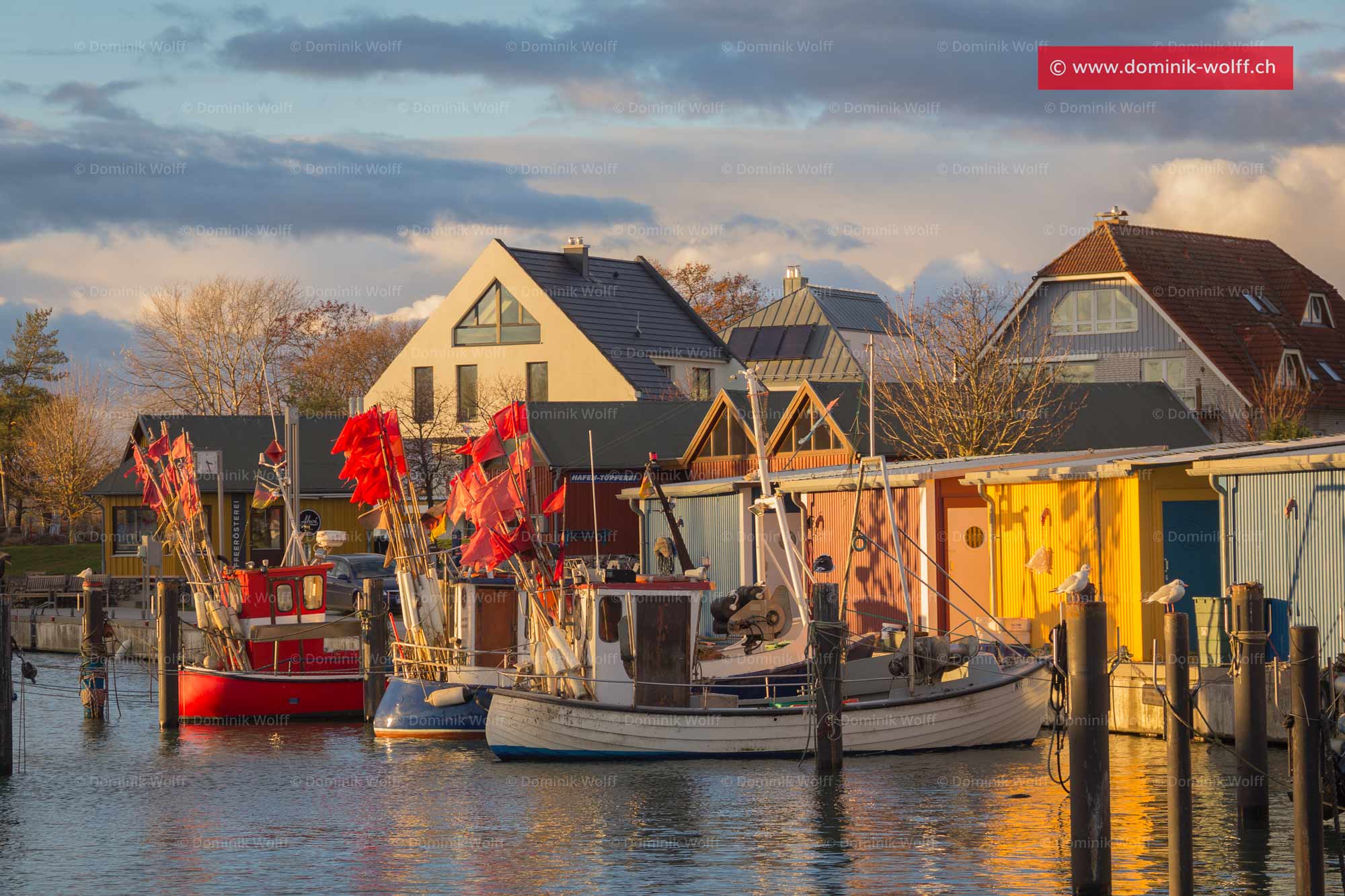 Bild + Foto - Niendorfer Hafen