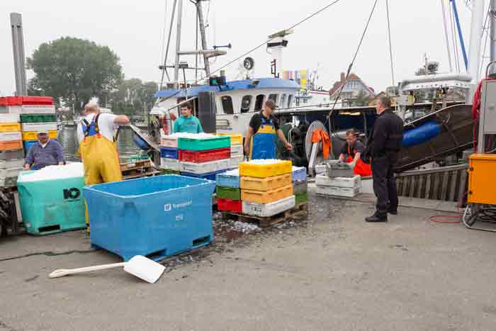 Fischereibetrieb Niendorf/Ostsee