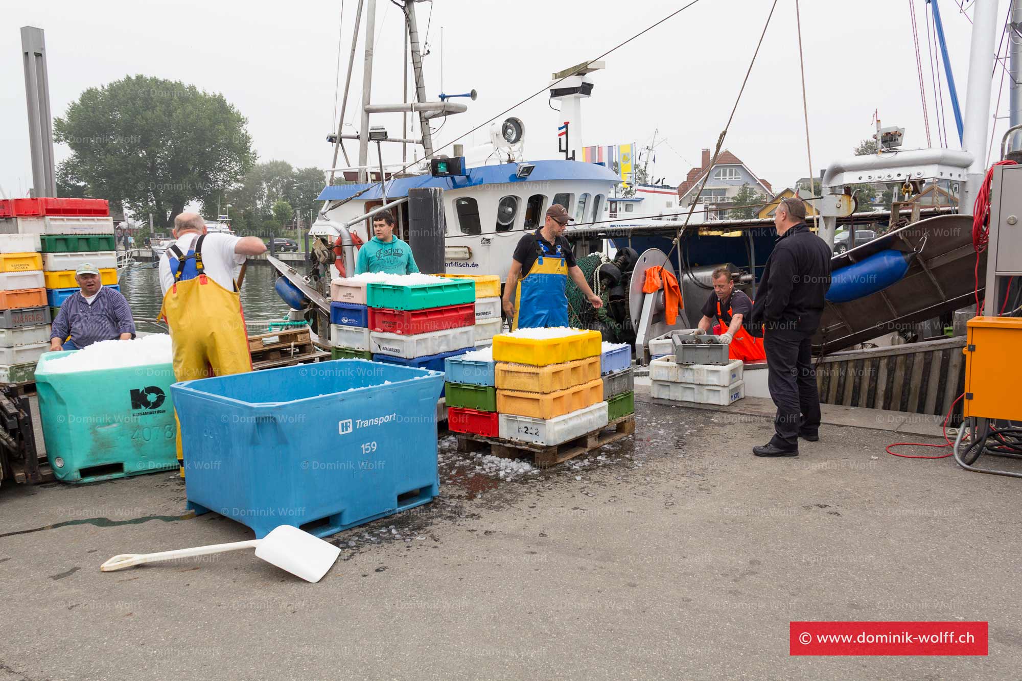 Bild + Foto - Berufsfischer im Niendorfer Hafen
