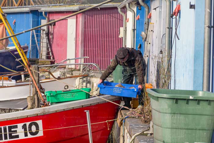 Fischer in Niendorf/Ostsee