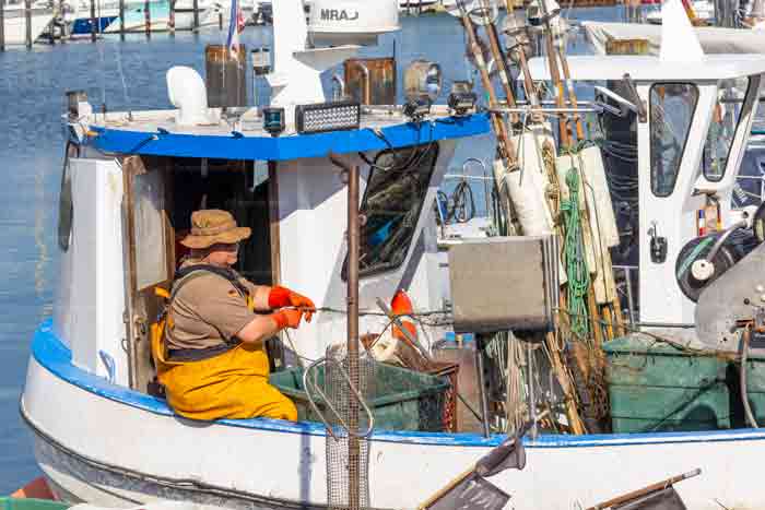 Fischerei in Niendorf/Ostsee
