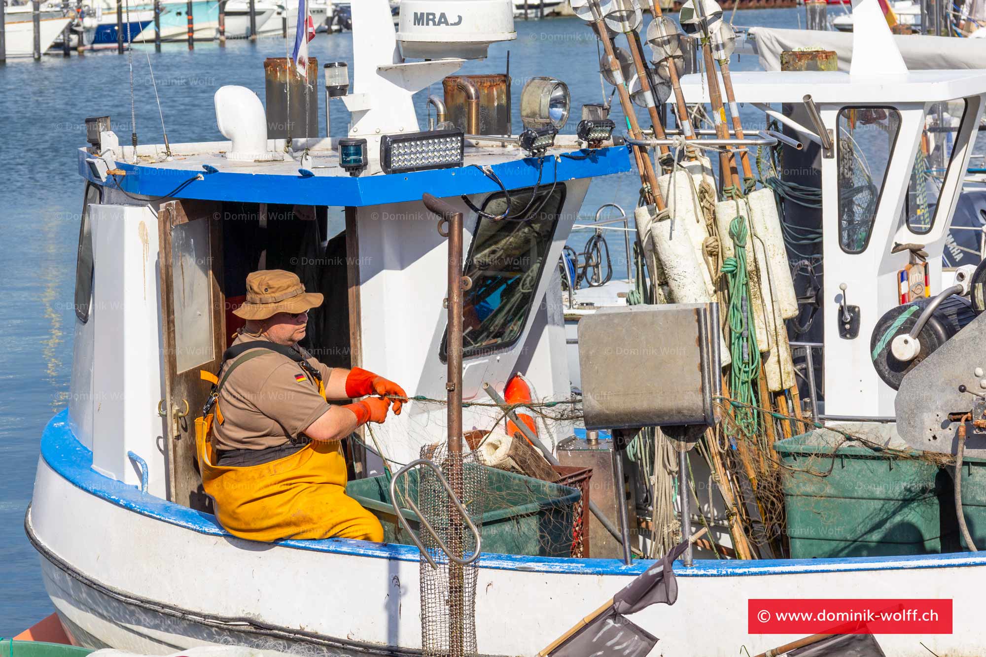 Bild + Foto - Fischer im Niendorfer Hafen