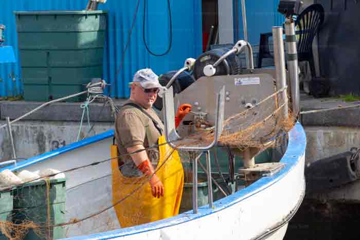Fischer im Niendorfer Hafen