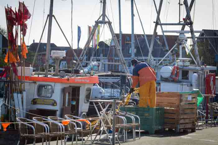 Fischerei in Niendorf/Ostsee