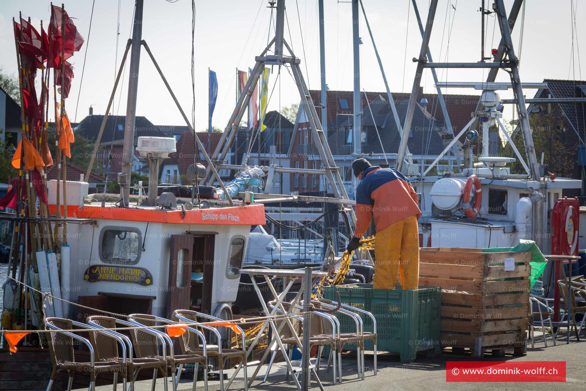 Bild + Foto - Fischer im Niendorfer Hafen