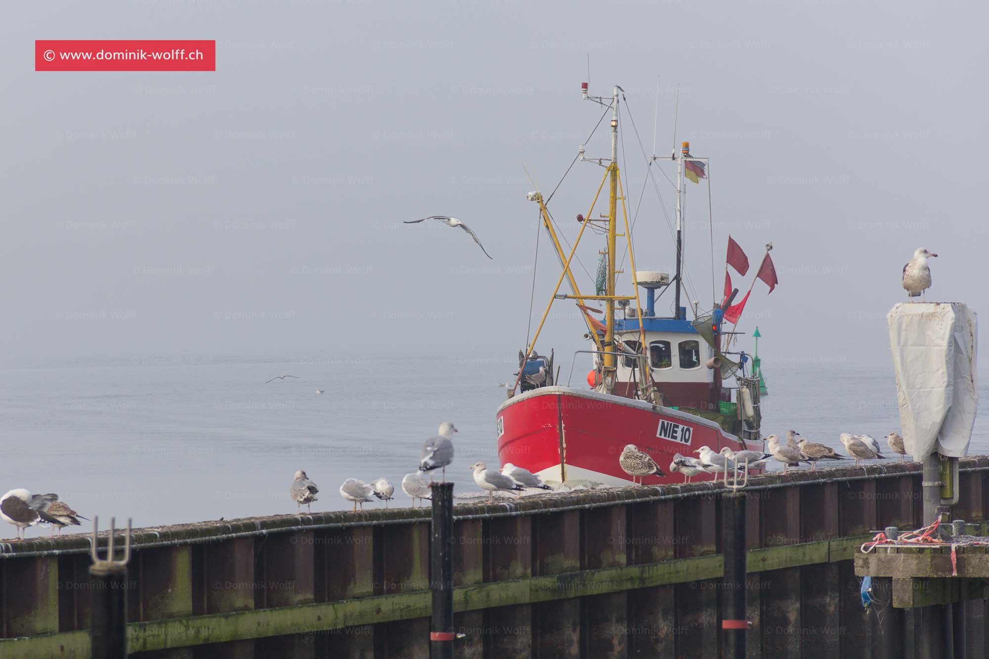 Bild + Foto - Fischkutter der Lübecker Bucht