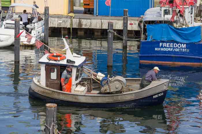 Fischkutter im Niendorfer Hafen