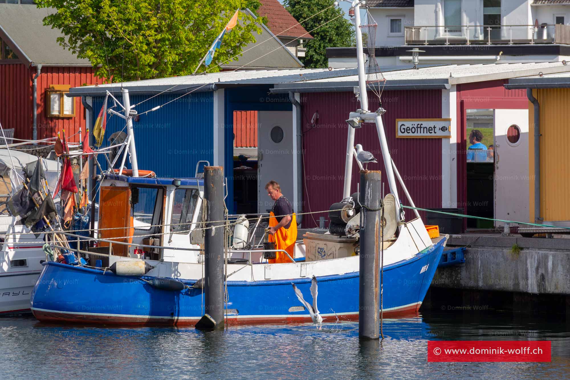 Bild + Foto - Fischverkauf Timmendorfer Strand