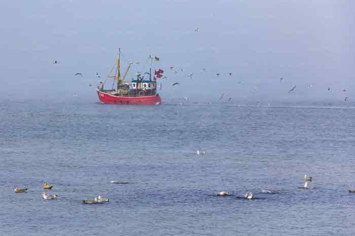 Fischkutter am Niendorfer Hafen