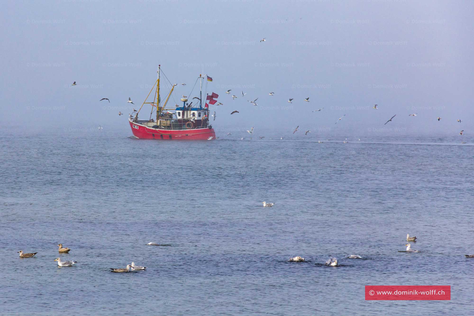 Bild + Foto - Fischerboot in der Lübecker Bucht