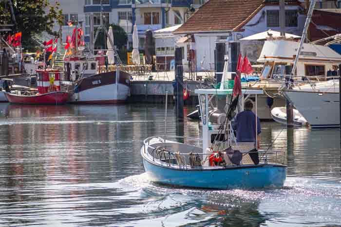 Fischkutter im Niendorfer Hafen