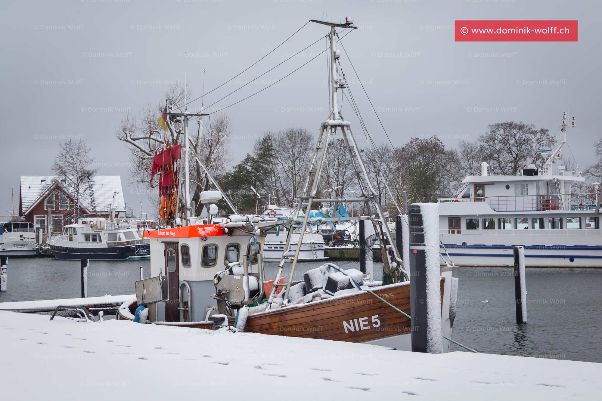 Bild + Foto - Fischkutter im Hafen von Niendorf