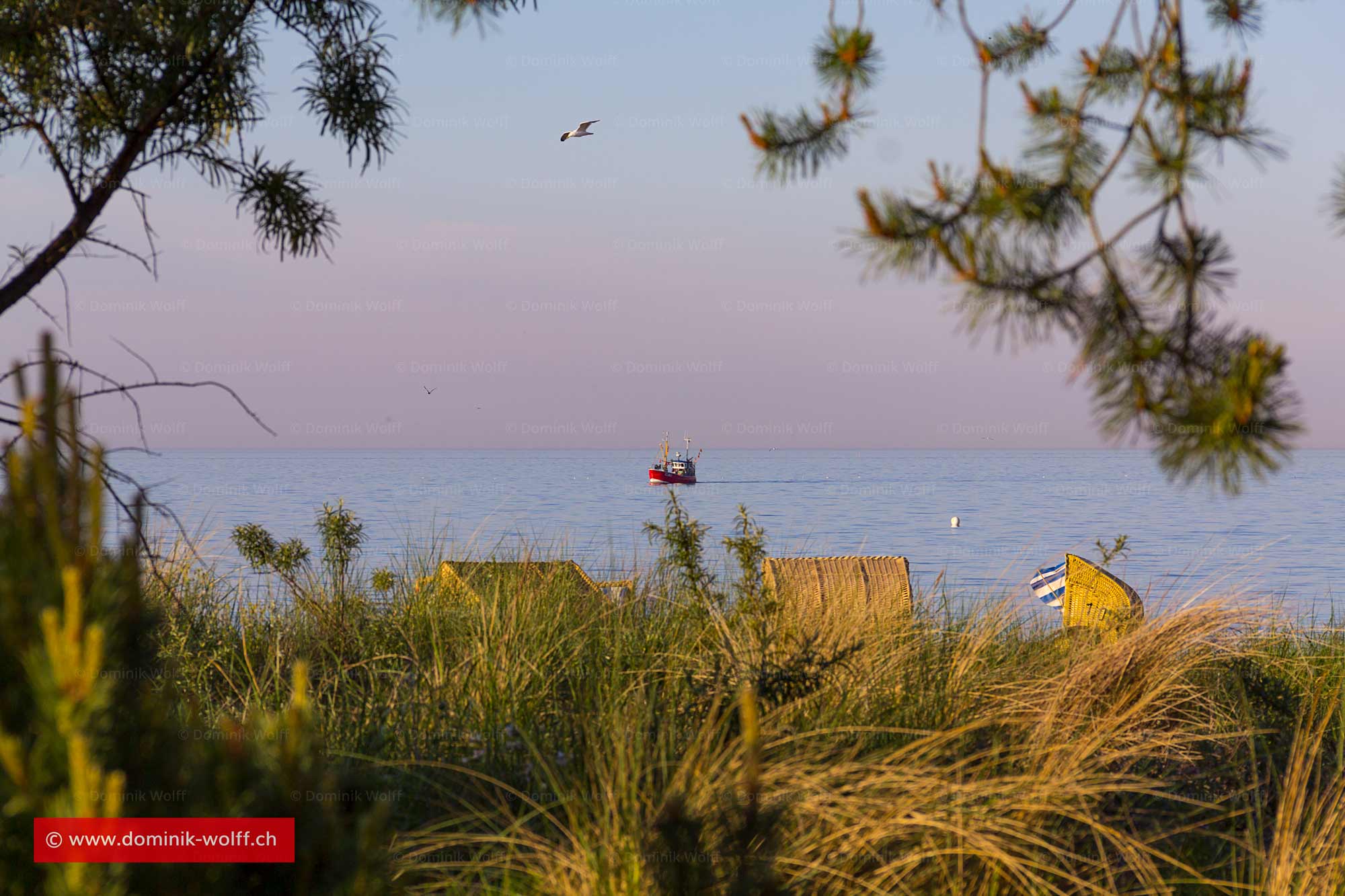 Bild + Foto - Fischkutter in der Lübecker Bucht