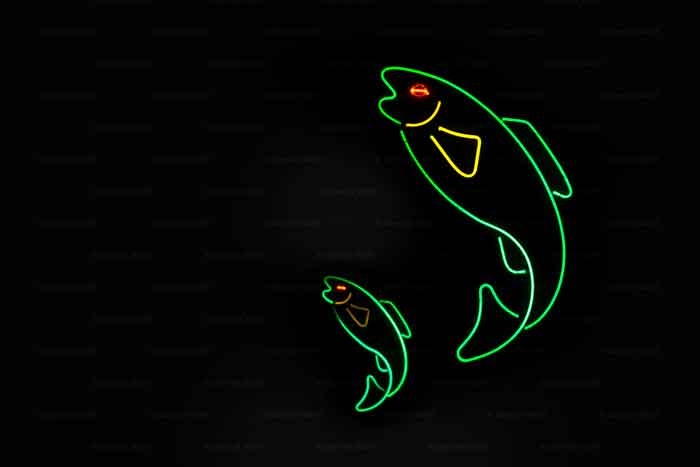 Gastronomie am Niendorfer Hafen