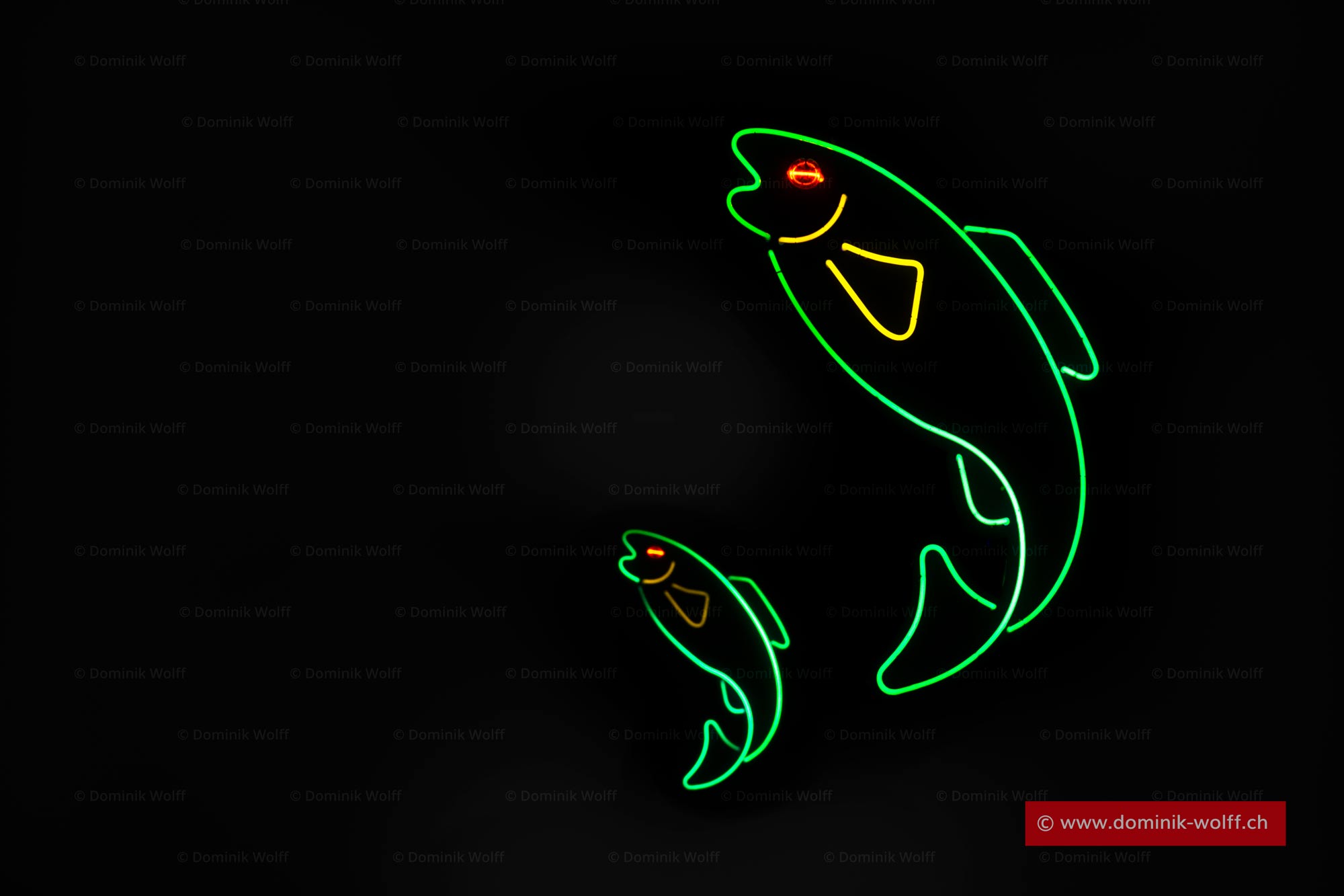 Bild + Foto - Restaurant Fischkiste in Niendorf/Ostsee