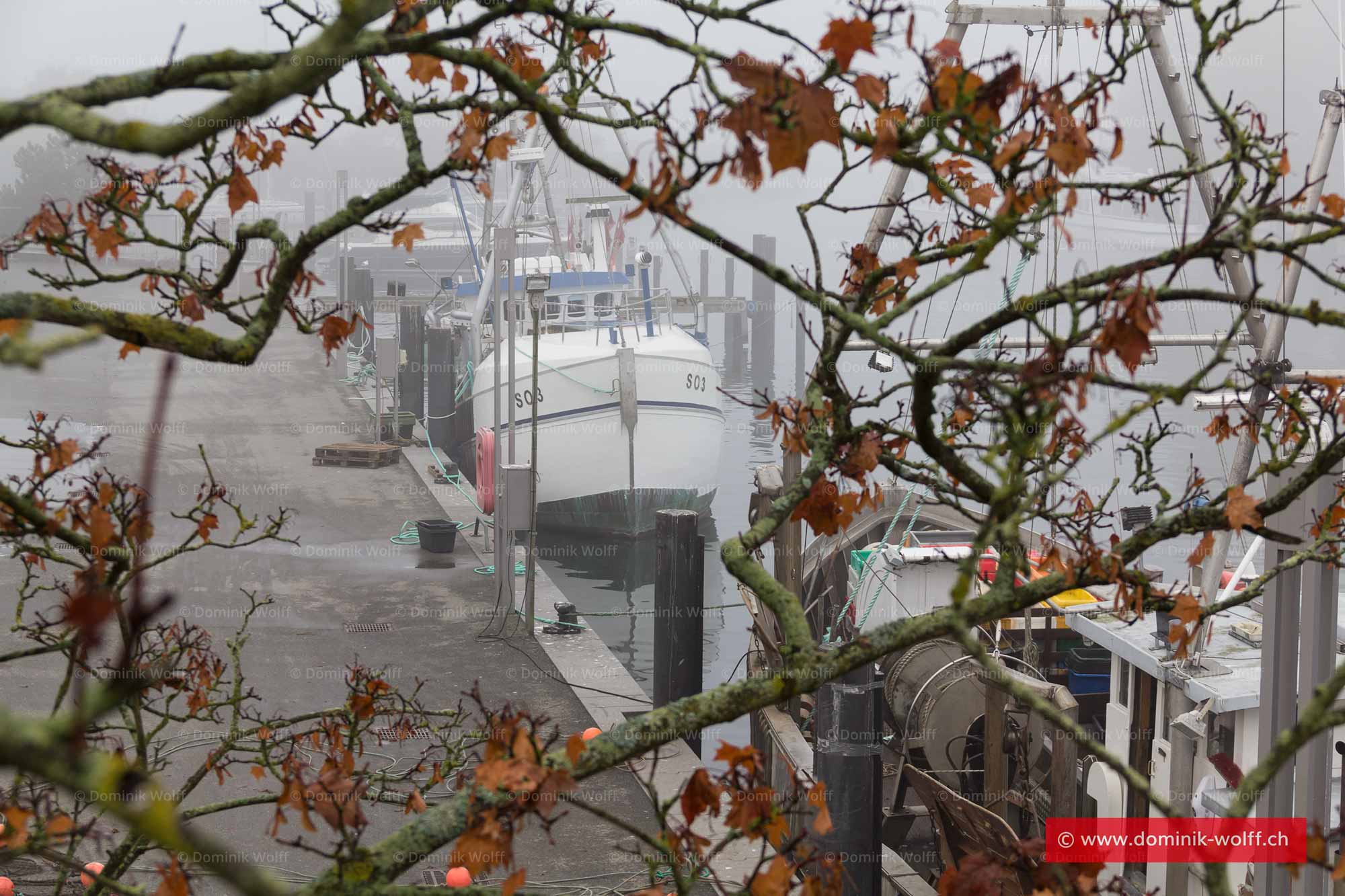 Bild + Foto - Herbst im Niendorfer Hafen