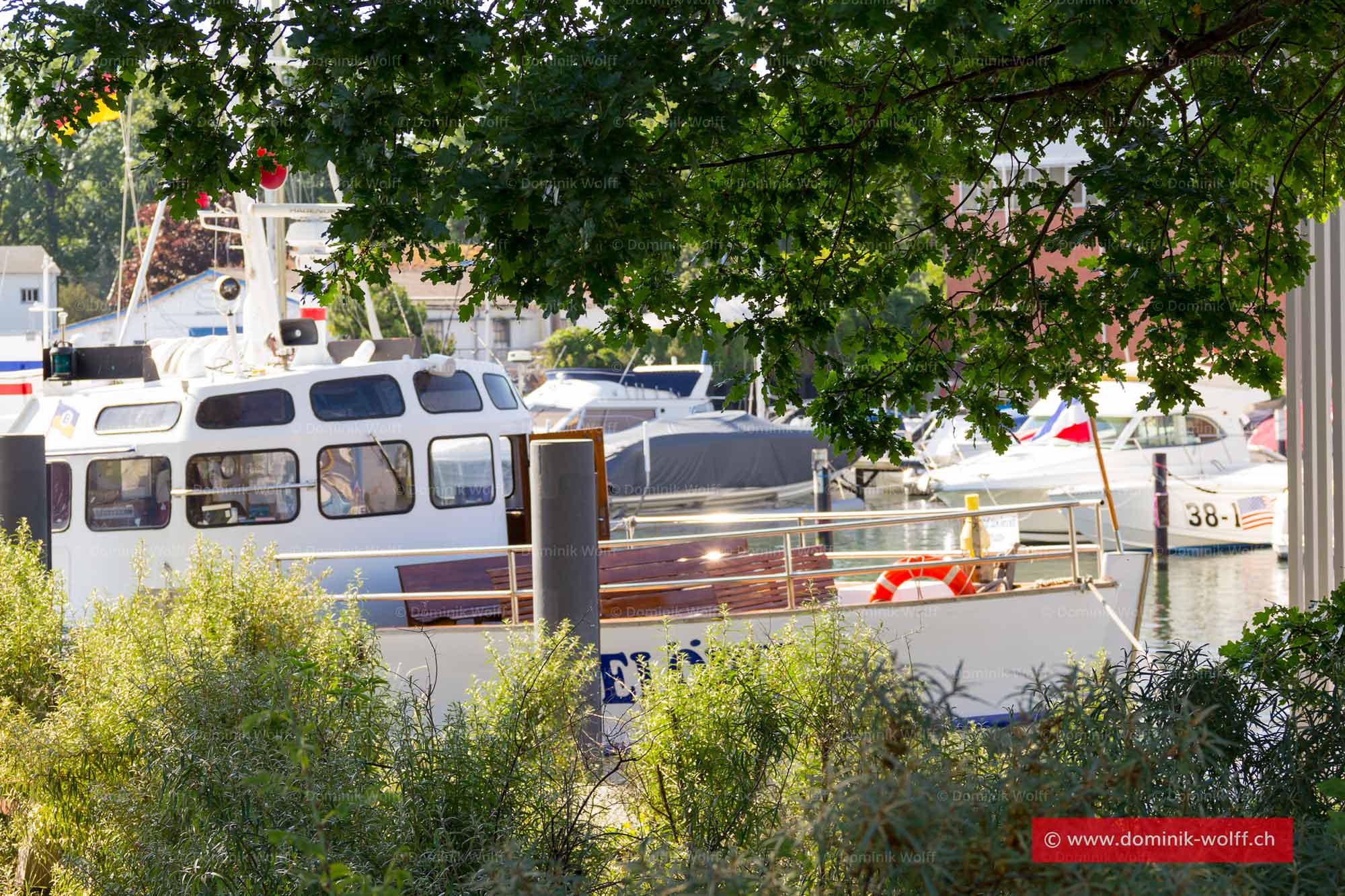 Bild + Foto - MS Seelöwe im Niendorfer Hafen