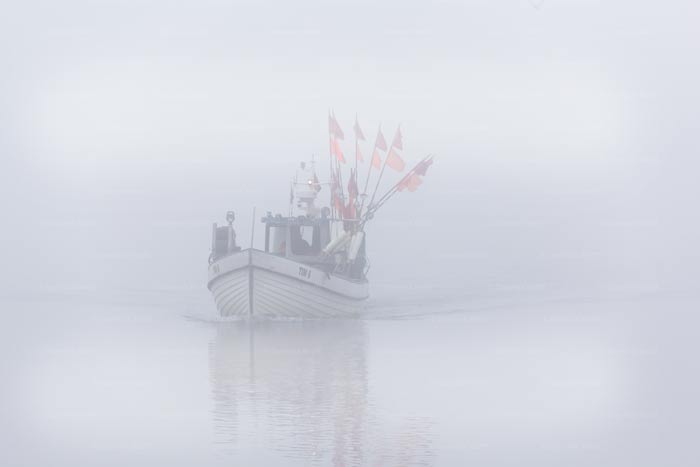 Nebel am Niendorfer Hafen