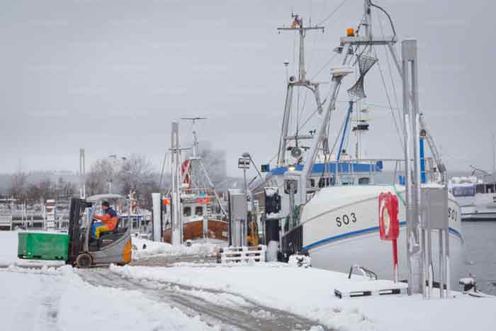 Winterfischen im Niendorfer Hafen