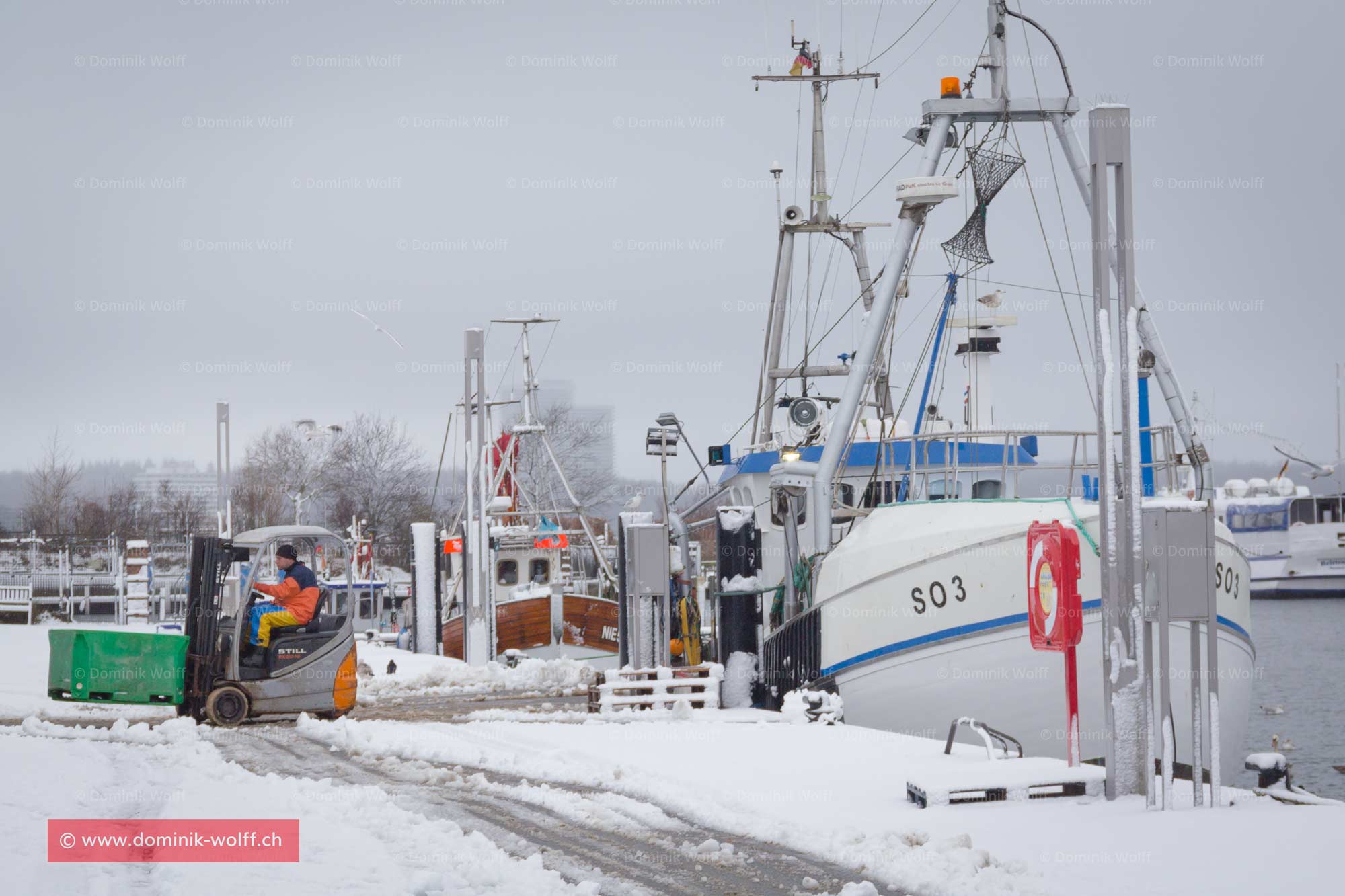 Bild + Foto - Winter-Fischerei in Schleswig-Holstein