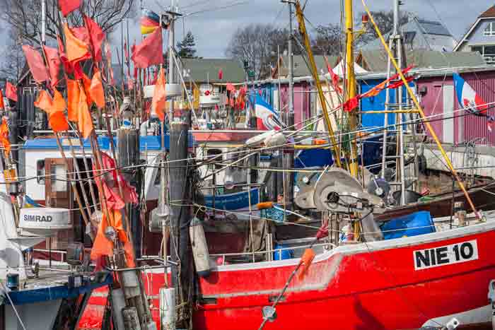 Gute Zeiten im Fischereihafen