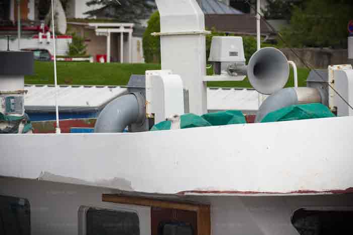 Alles Essbare im Blick!