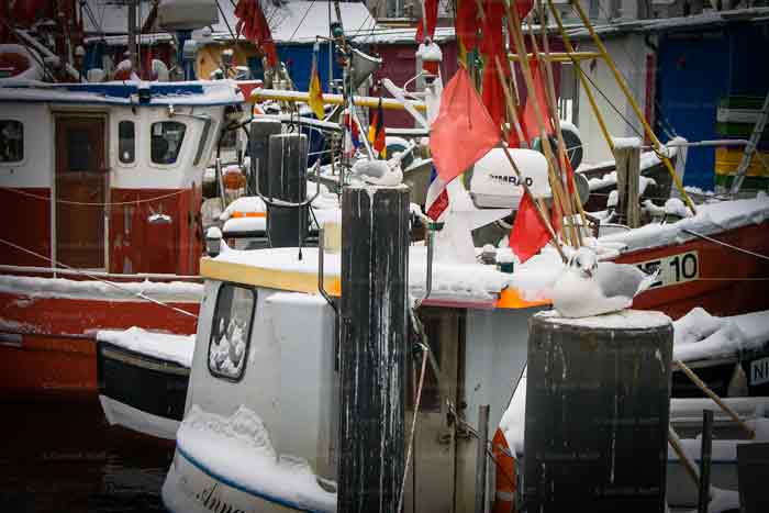 Ständige Hafenbewohner