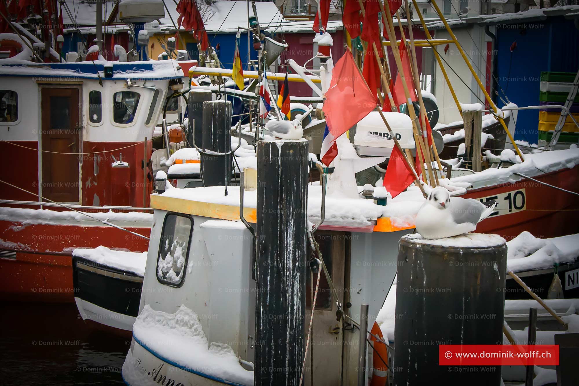Bild + Foto - Winter im Niendorfer Fischereihafen