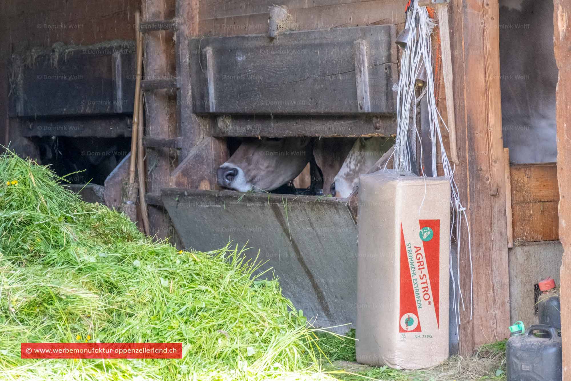 Bild + Foto - Gais im Appenzellerland