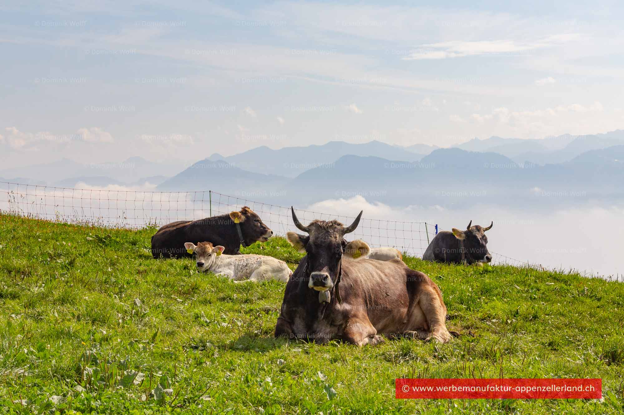 Bild + Foto - Appenzeller Bergpass St. Anton AI