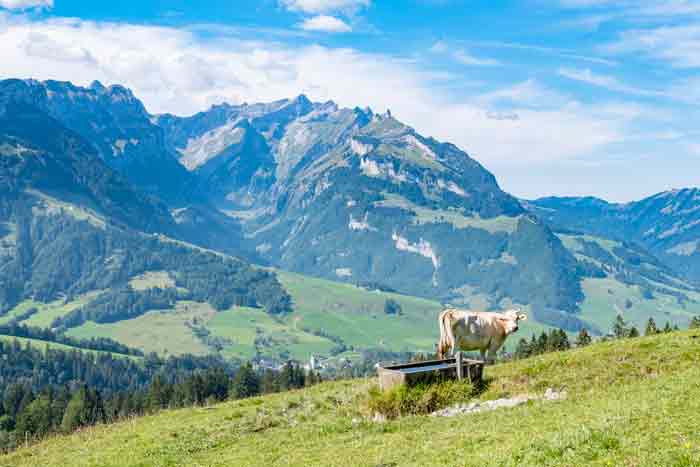 Alpstein in Appenzell Innerrhoden