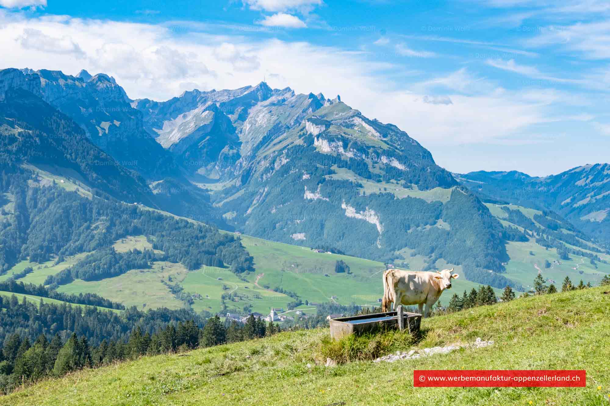 Bild + Foto - Fähneren nahe Fänerenspitz