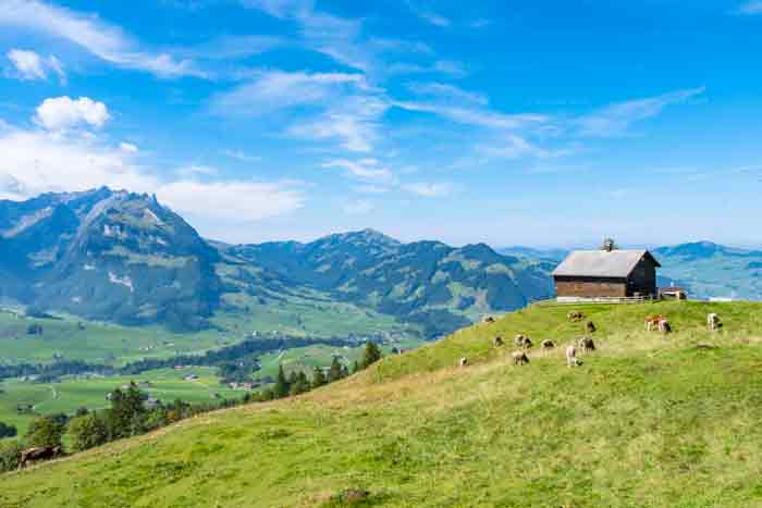 Hochalb in Appenzell Innerrhoden