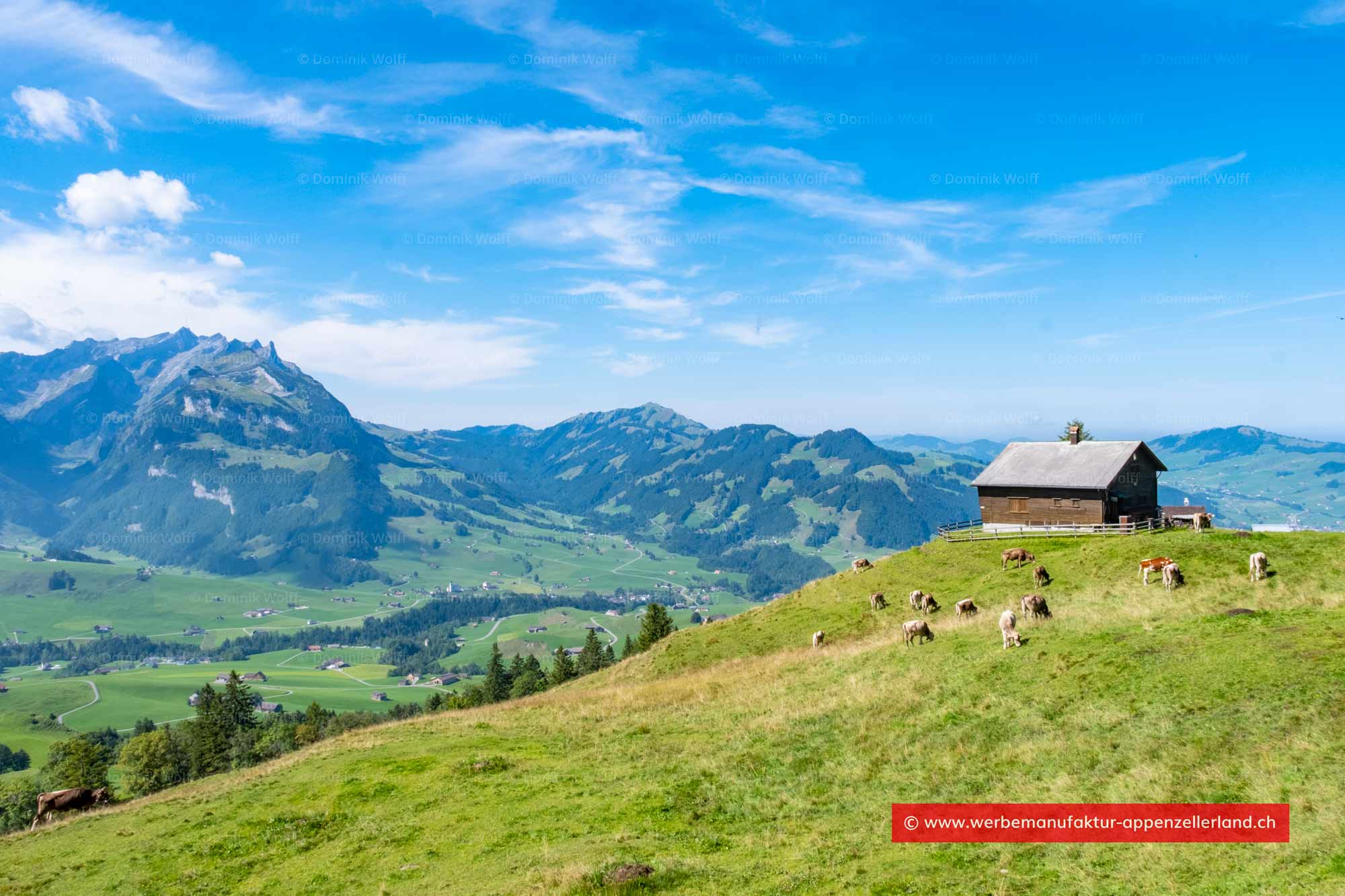 Bild + Foto - Alpe in Fähneren nahe Bachers