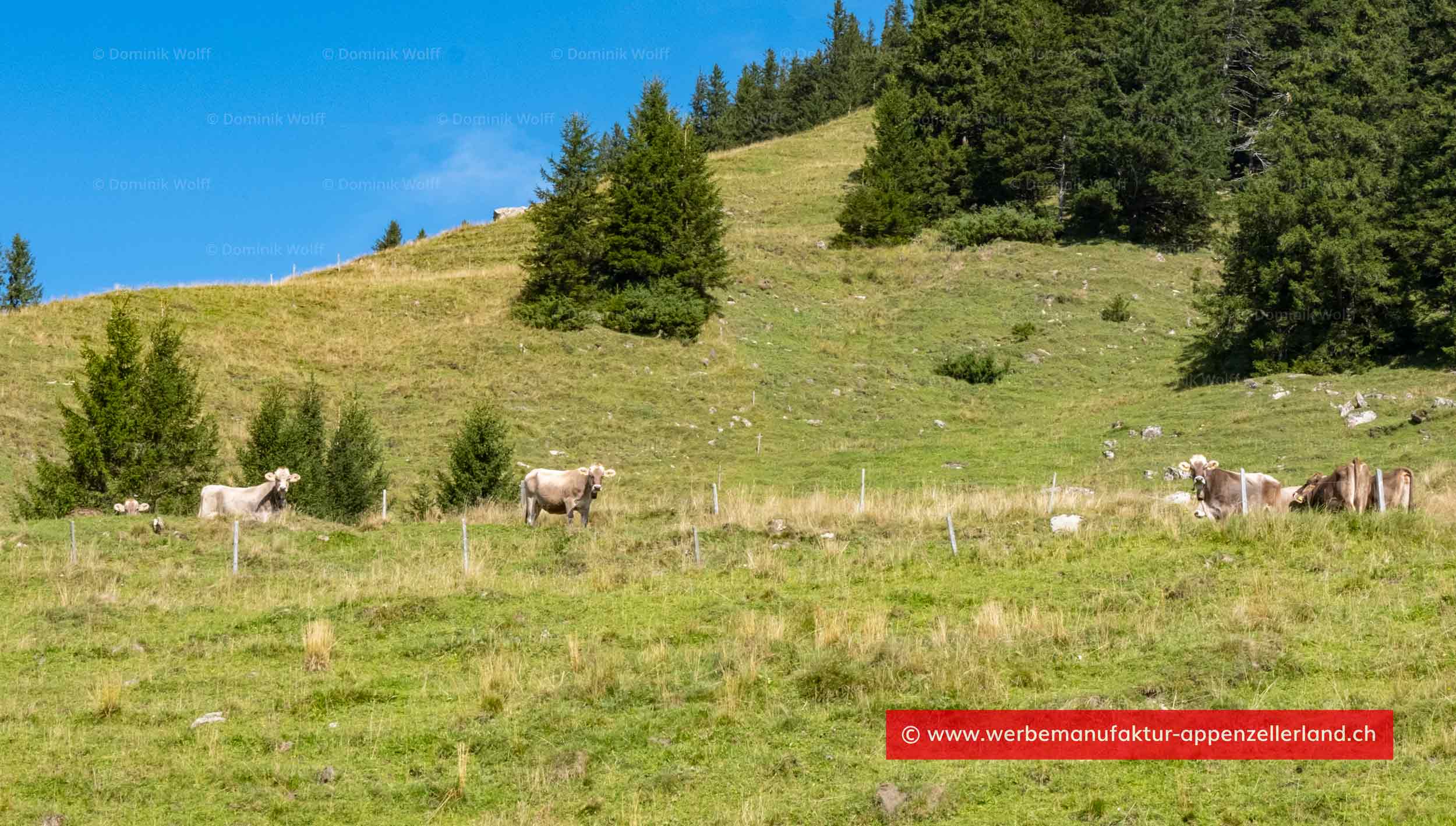 Bild + Foto - An der Fänerenspitz