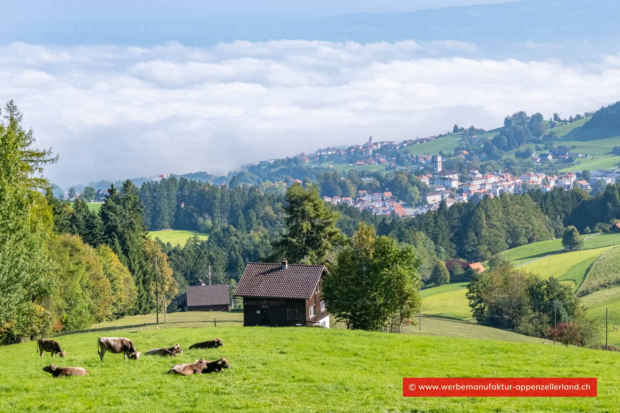 Bild + Foto - Heiden im Appenzellerland