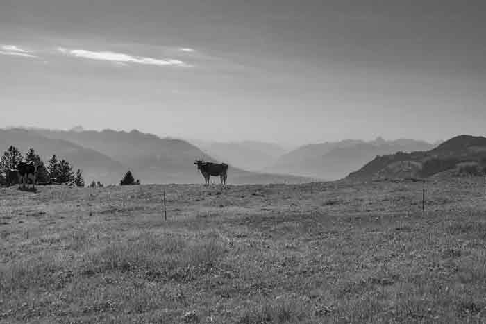 Alpen um das Appenzellerland