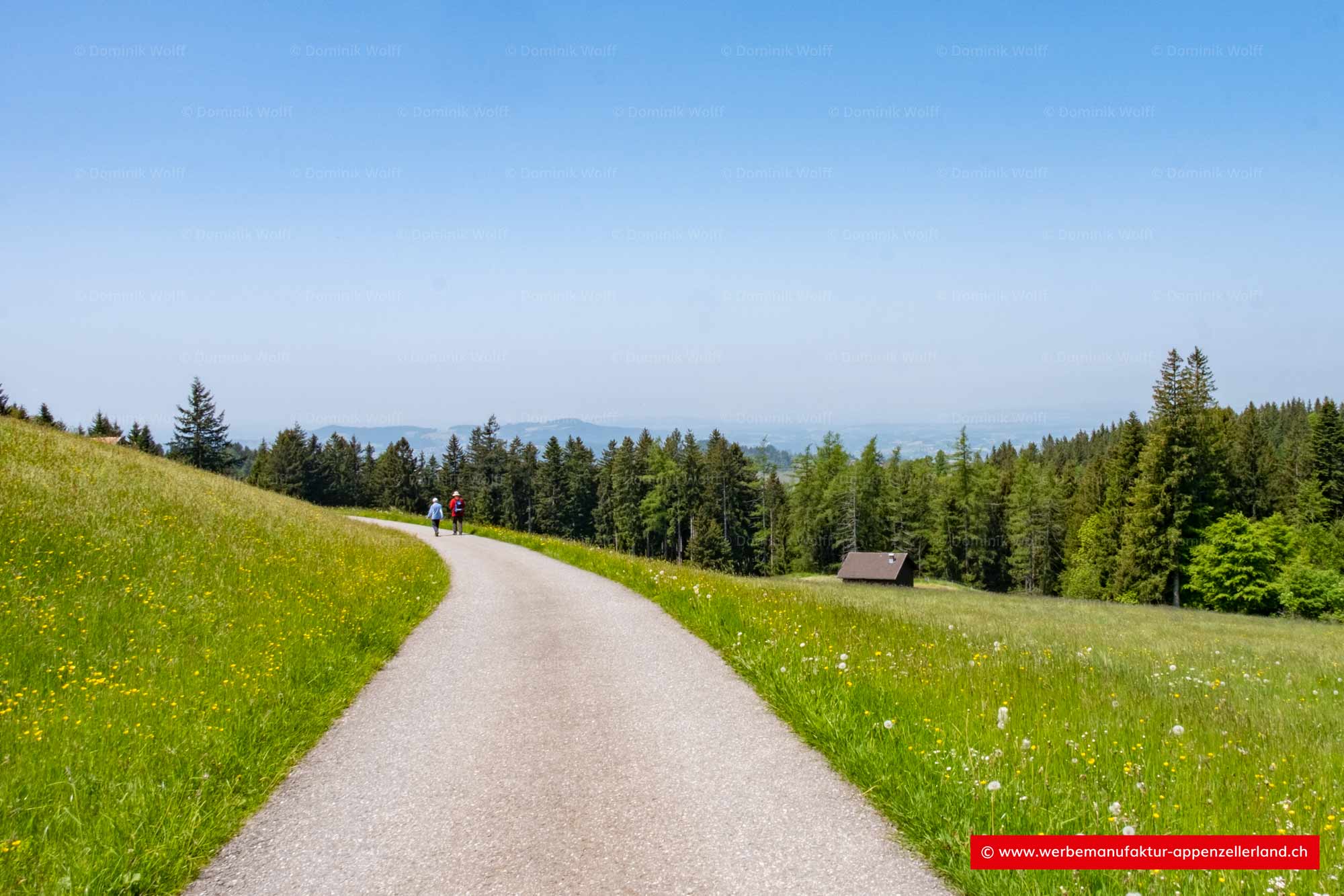 Bild + Foto - Blick vom Kaien in den Thurgau