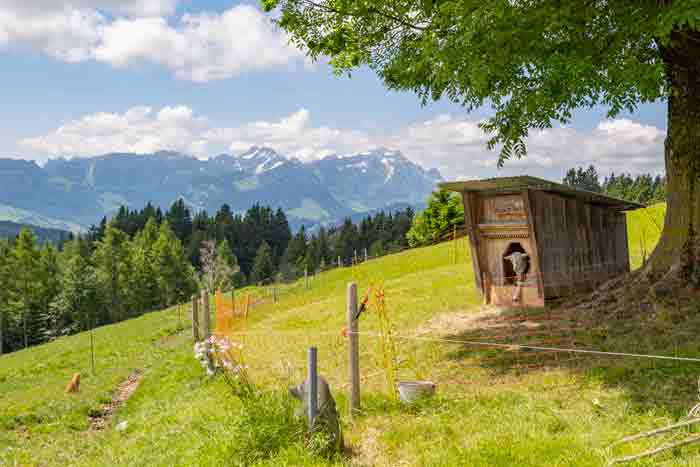 Mehr Appenzell geht wohl nicht