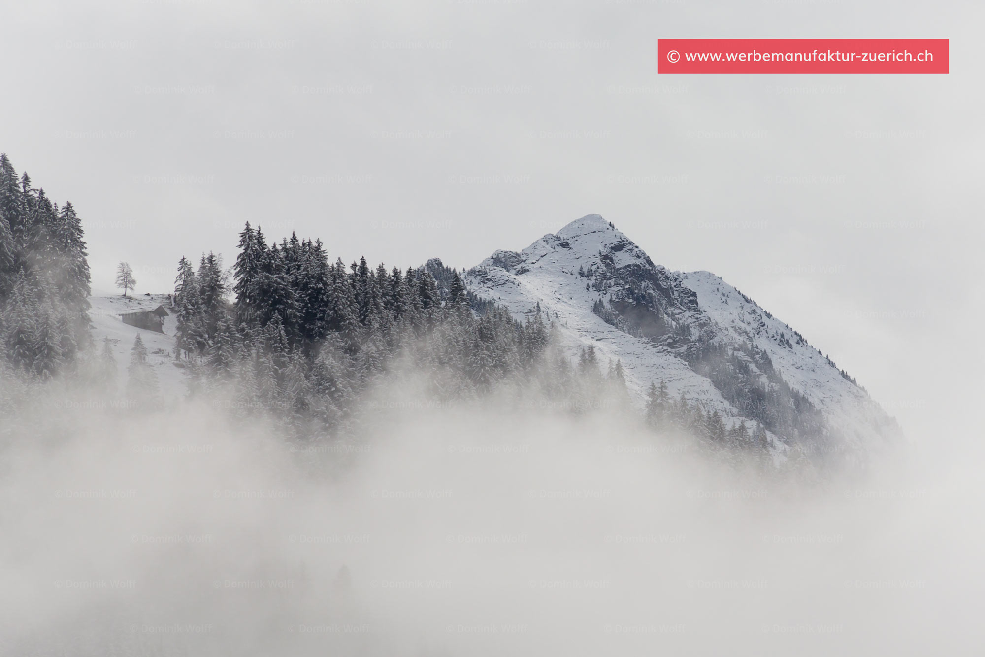 Bild + Foto - Berner Oberland in der Schweiz