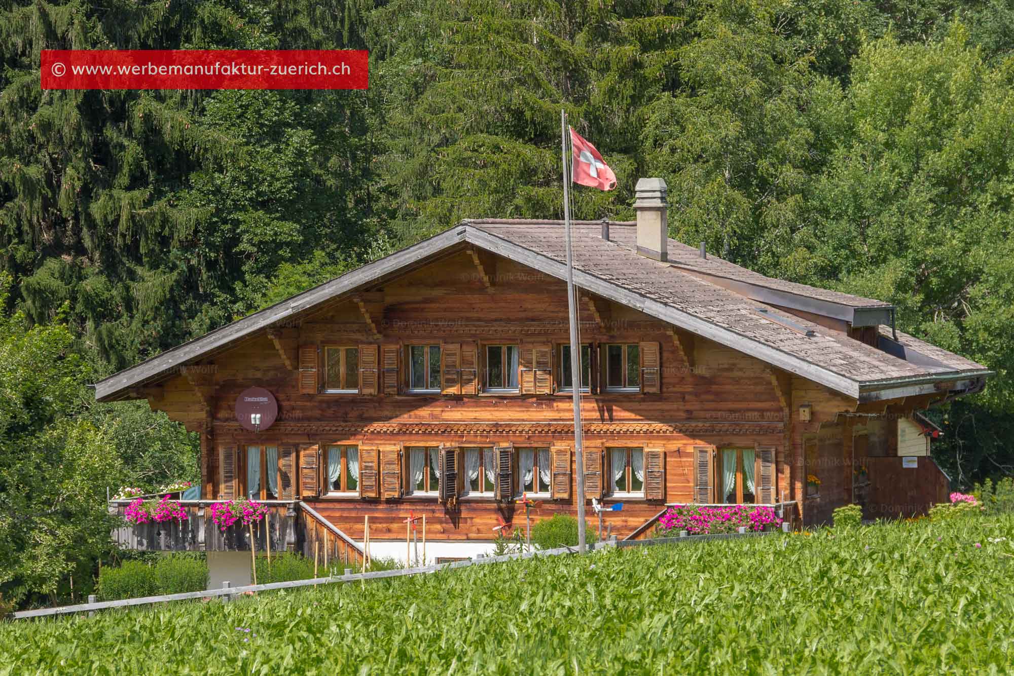 Bild + Foto - Chalet in Schönried bei Gstaad