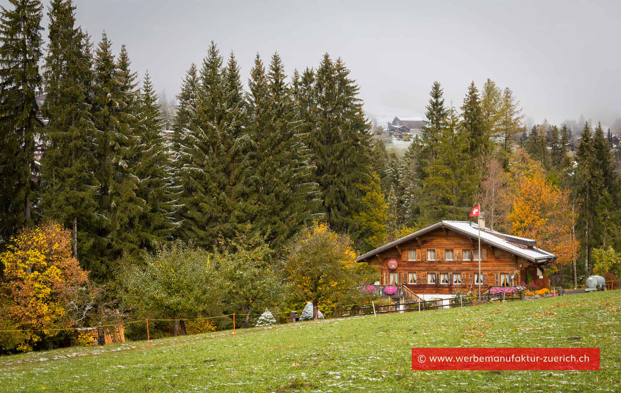 Bild + Foto - Herbst im Saanenland / Schweiz