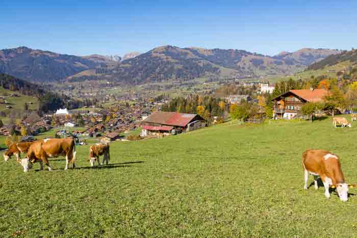 Blick Richtung Norden