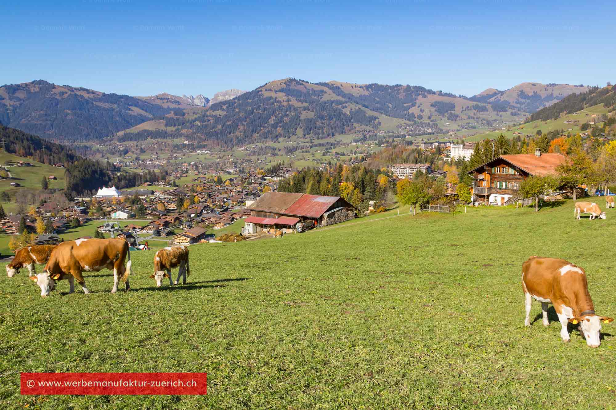 Bild + Foto - Gstaad in Saanen