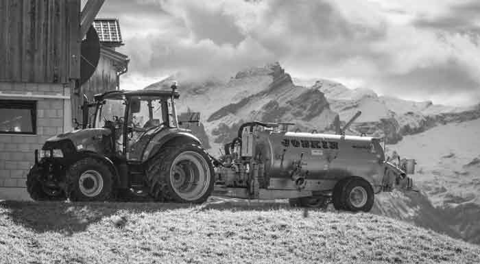 Die DNA des Saanenlands